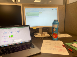 Photo of Marelyn Gonzalez's desk at the Field Museum that shows a laptop, monitor, water bottle and paper all on a desk